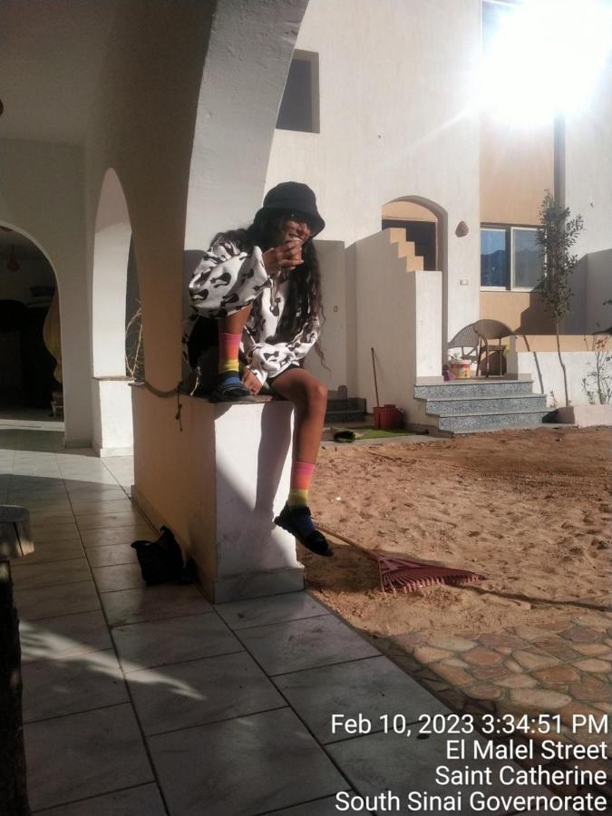 Nook Hostel Dahab Buitenkant foto