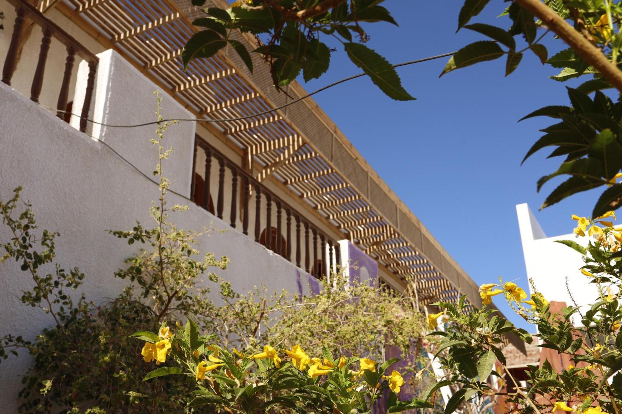 Nook Hostel Dahab Buitenkant foto