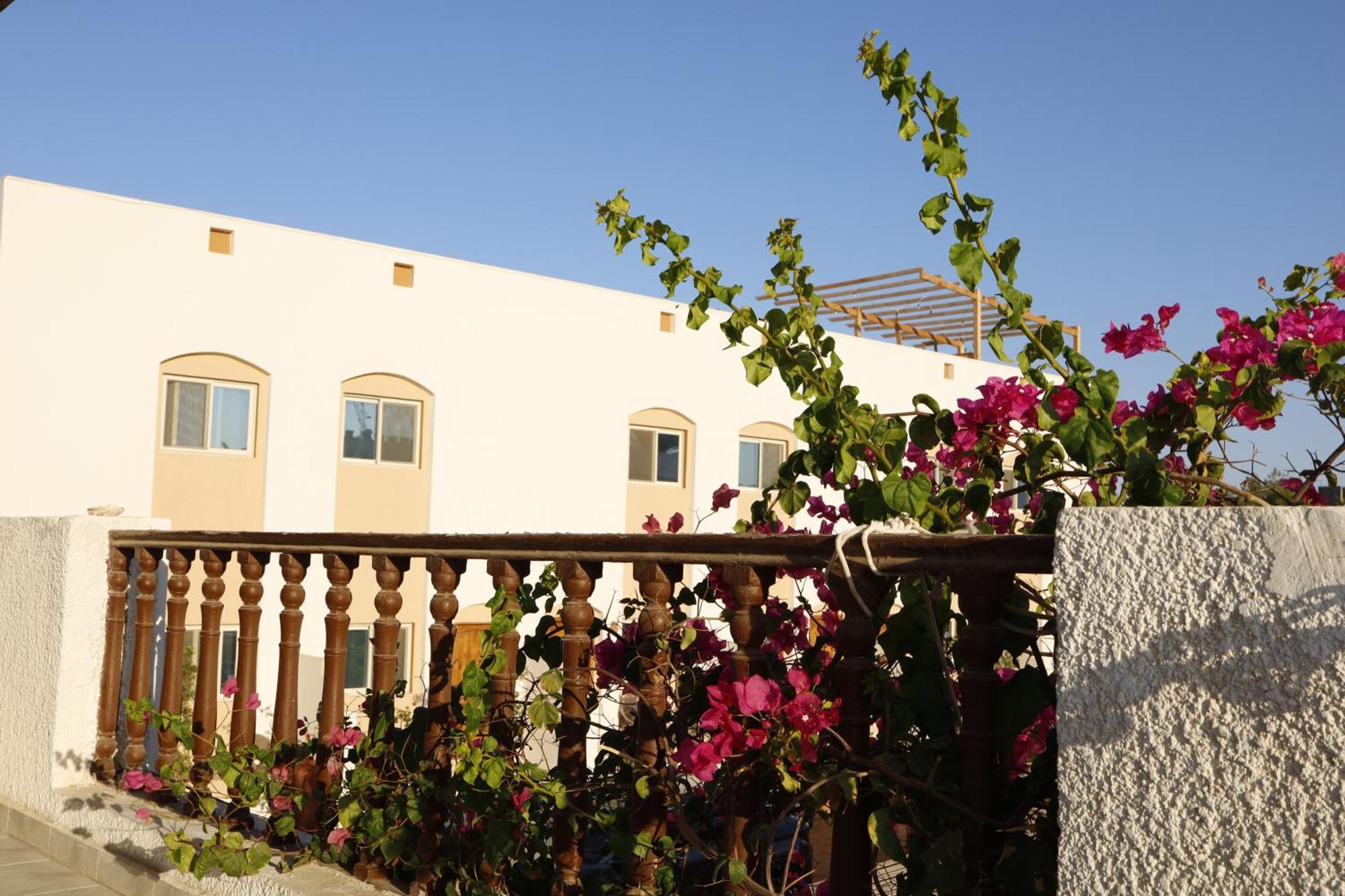Nook Hostel Dahab Buitenkant foto