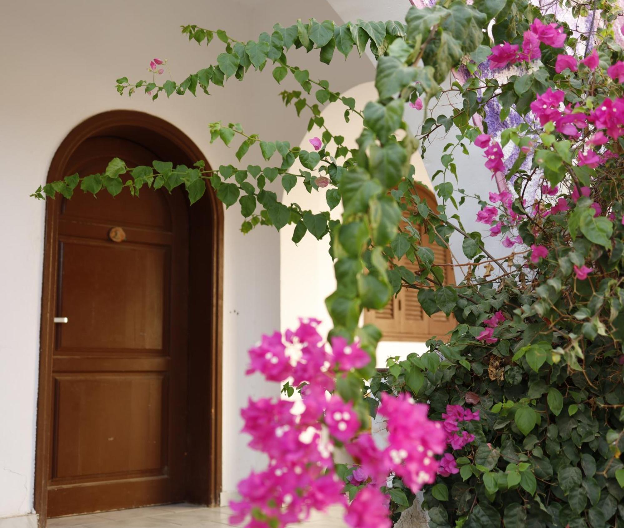 Nook Hostel Dahab Buitenkant foto